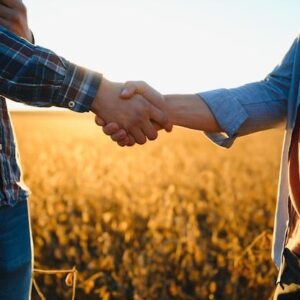 Dois agricultores apertando as mãos no campo de soja