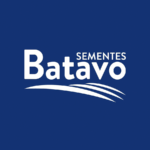 Batavo