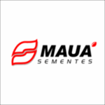 maua sementes